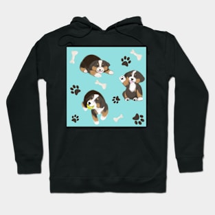 Bernese Pattern Hoodie